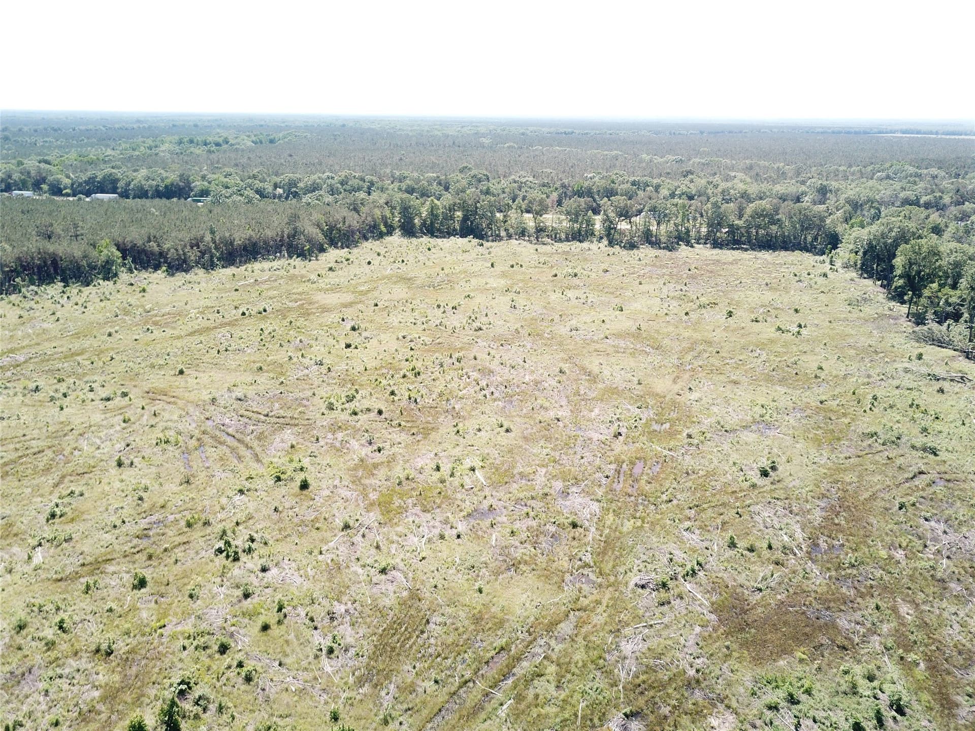 181.31 acres in Bowie County - photo 16