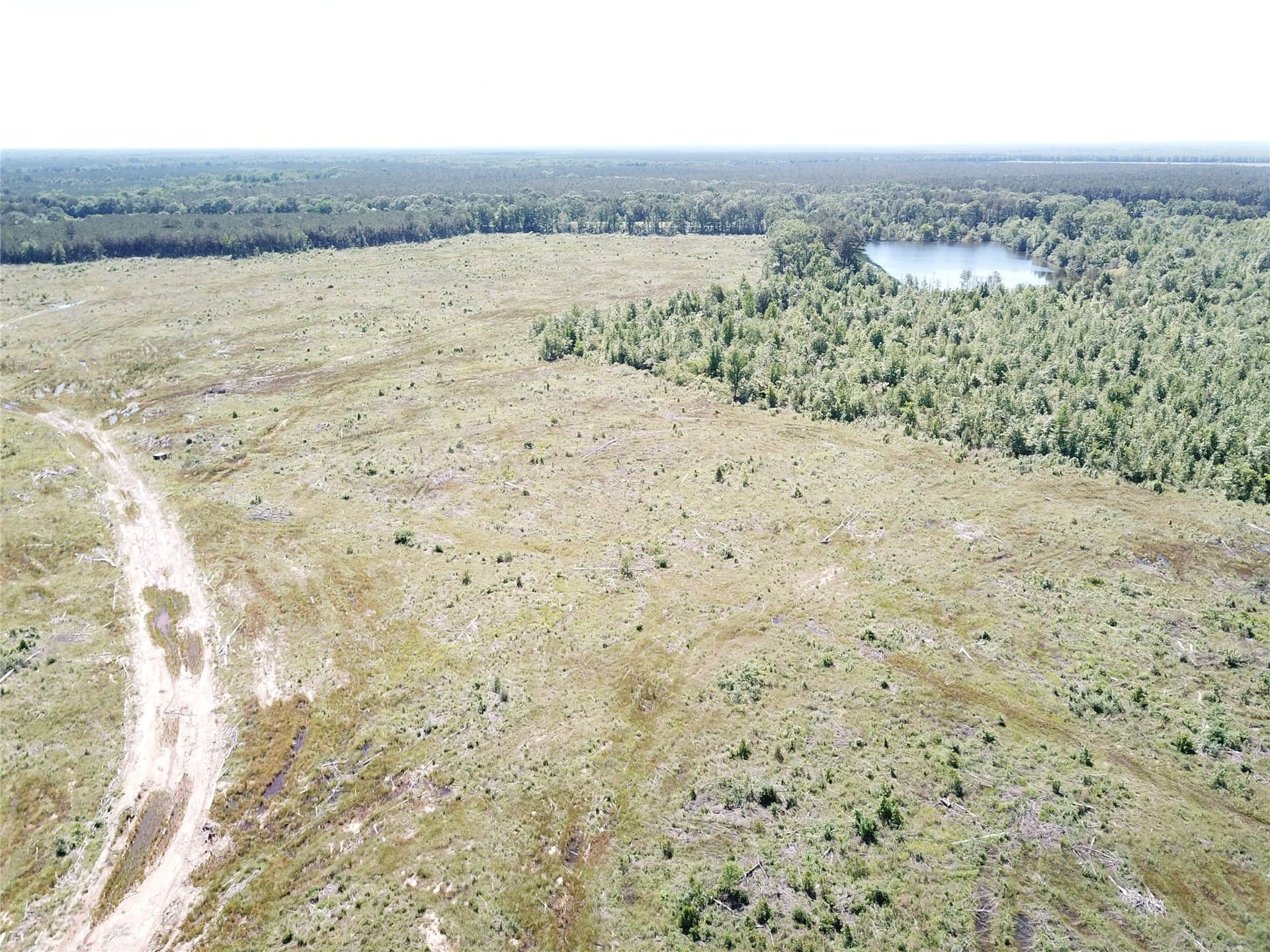 181.31 acres in Bowie County - photo 18