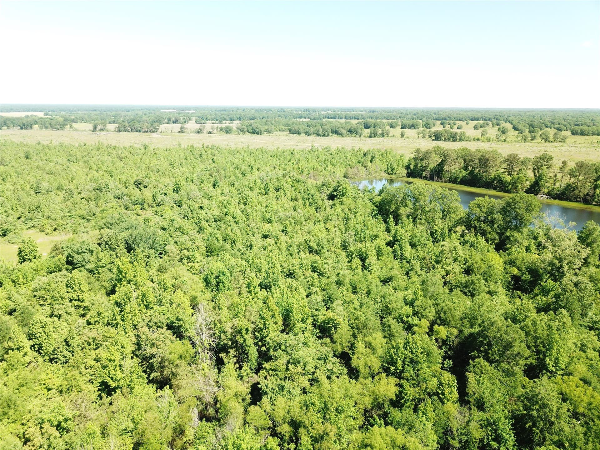 181.31 acres in Bowie County - photo 8