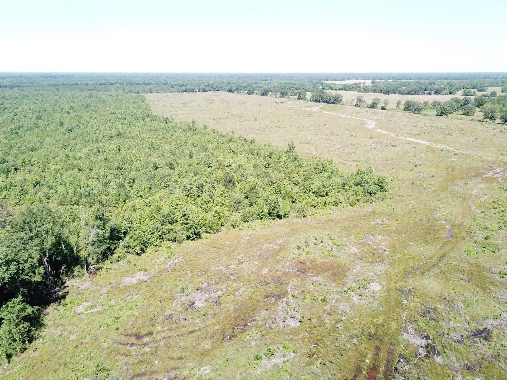 181.31 acres in Bowie County - photo 13