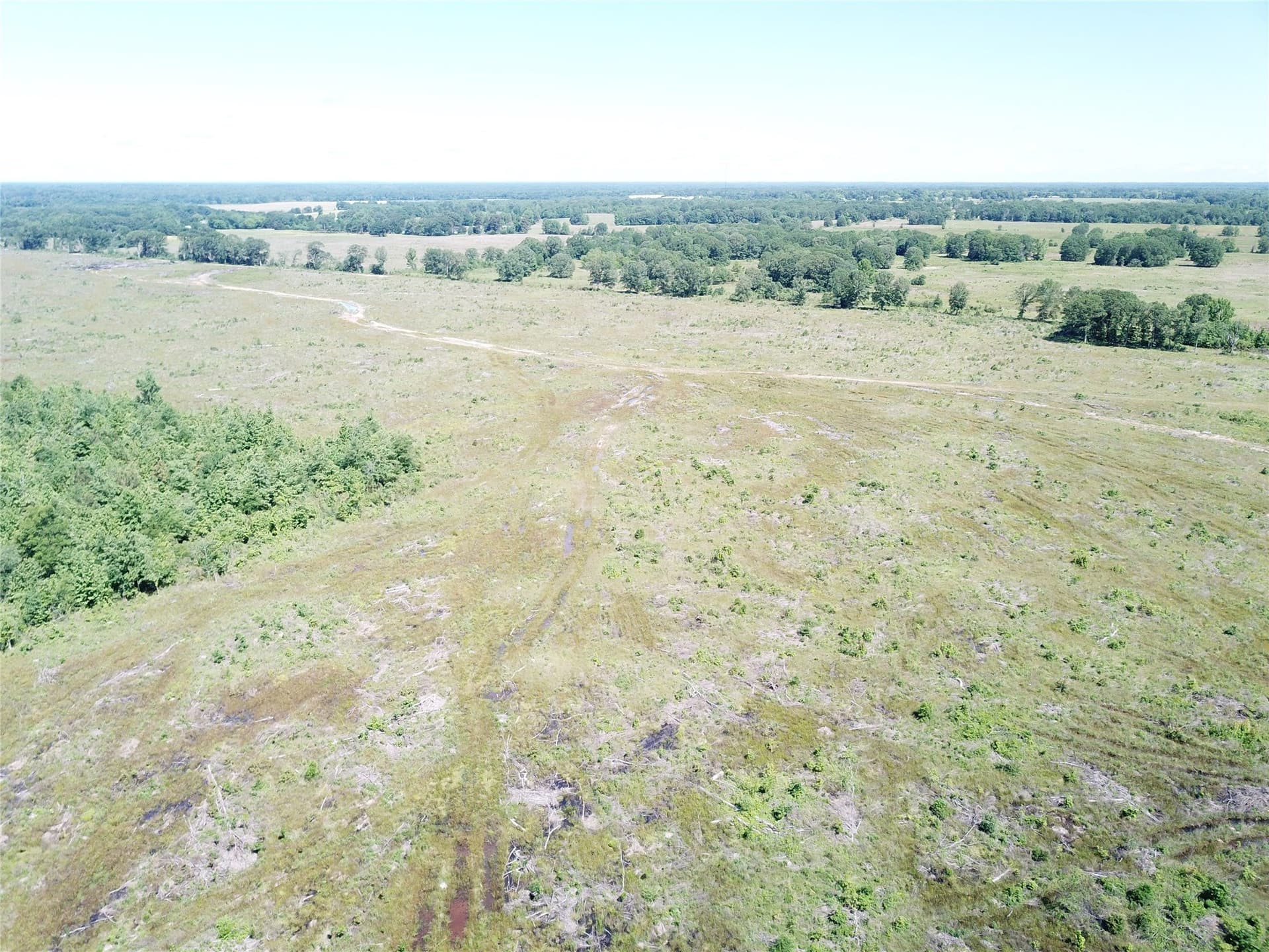 181.31 acres in Bowie County - photo 12