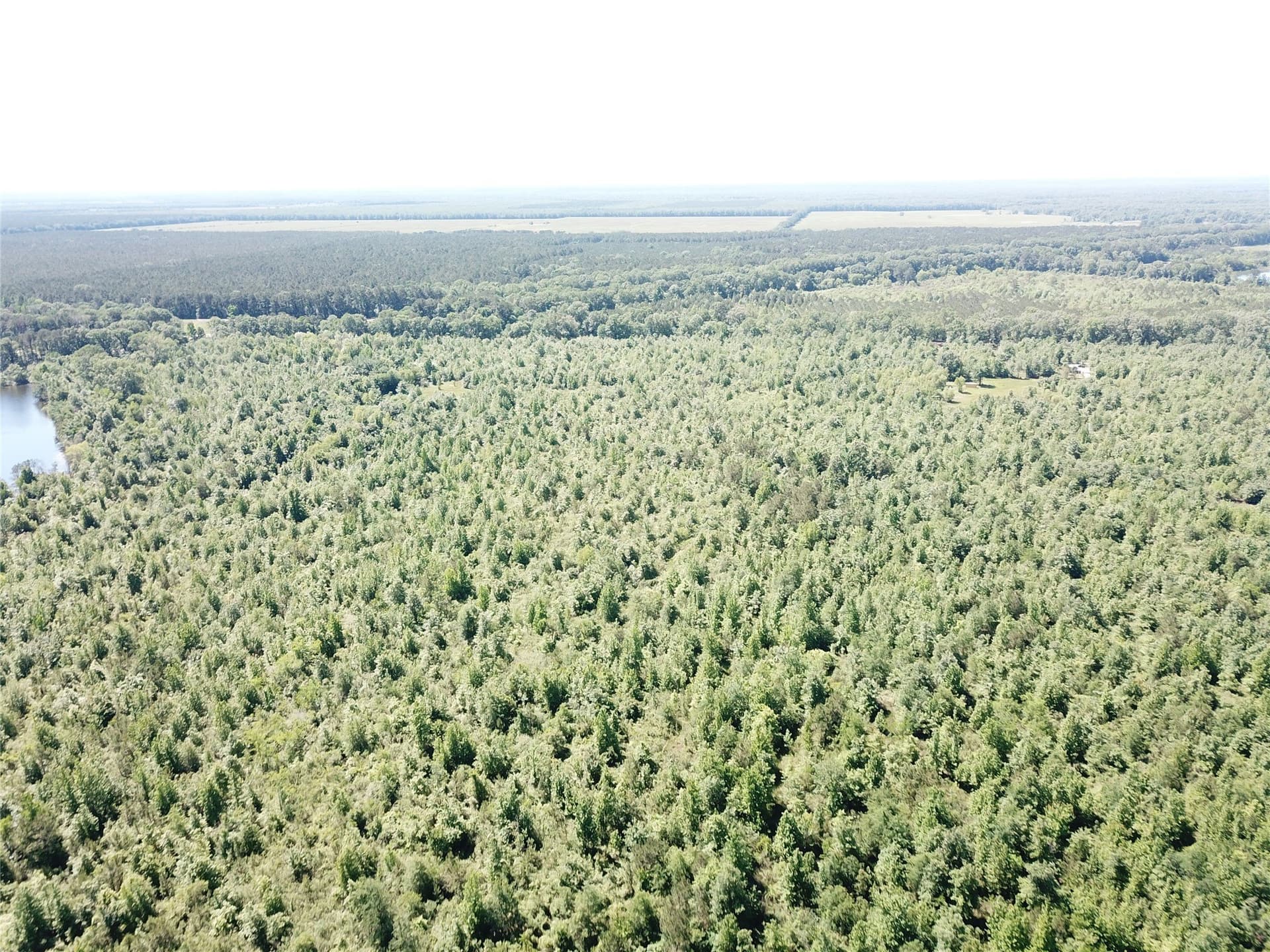 181.31 acres in Bowie County - photo 22