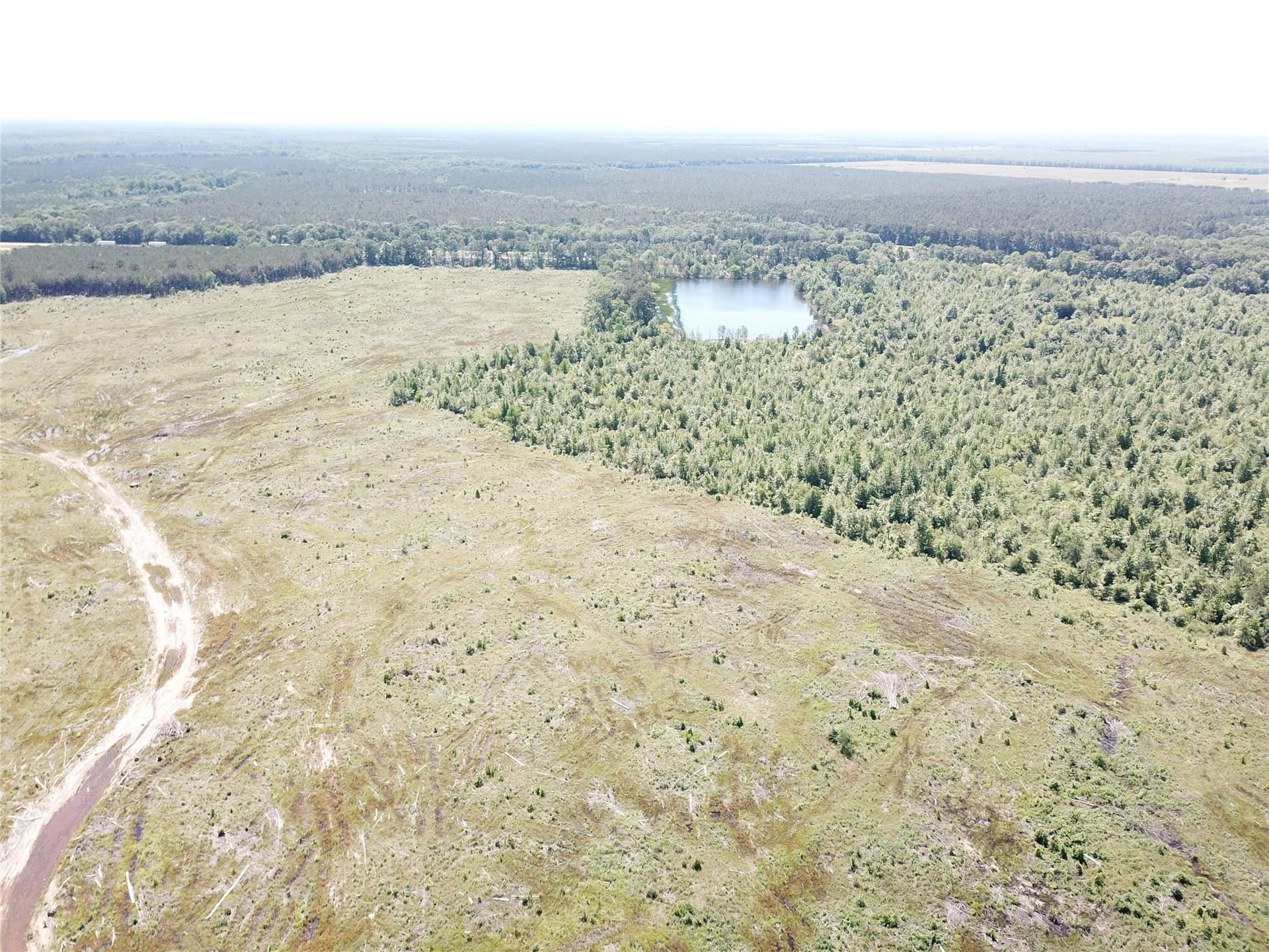 181.31 acres in Bowie County - photo 21