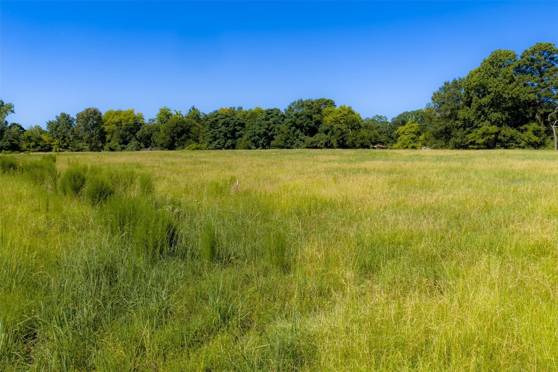 5.84 acres in Gregg County gallery image 2