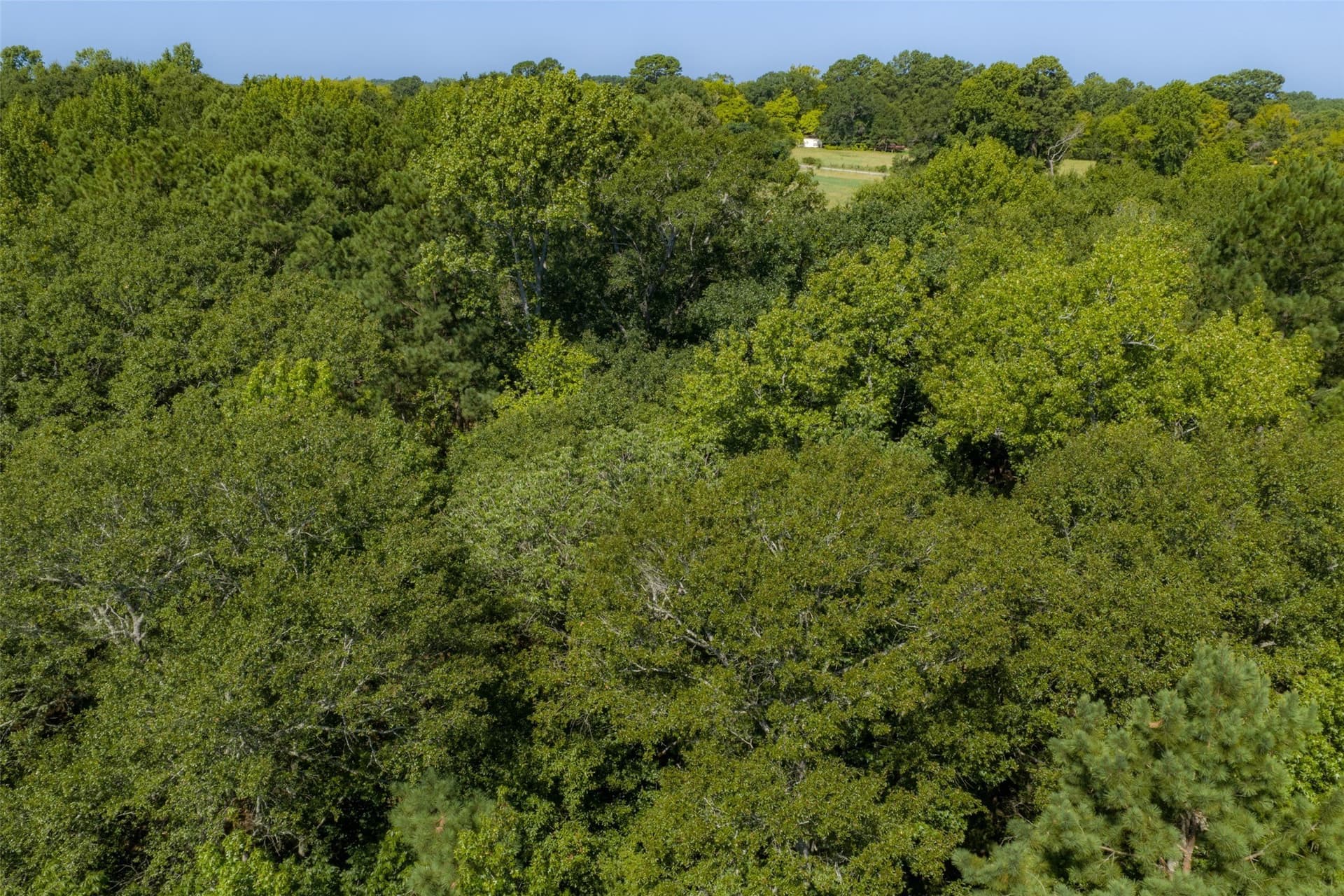6.09 acres in Gregg County - photo 9