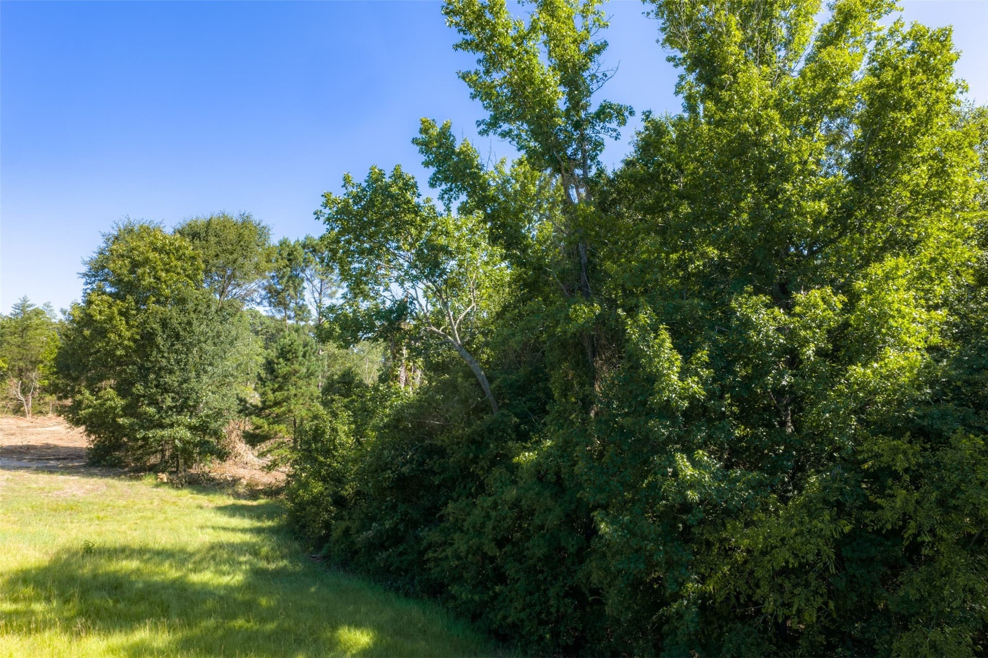 6.09 acres in Gregg County - photo 13