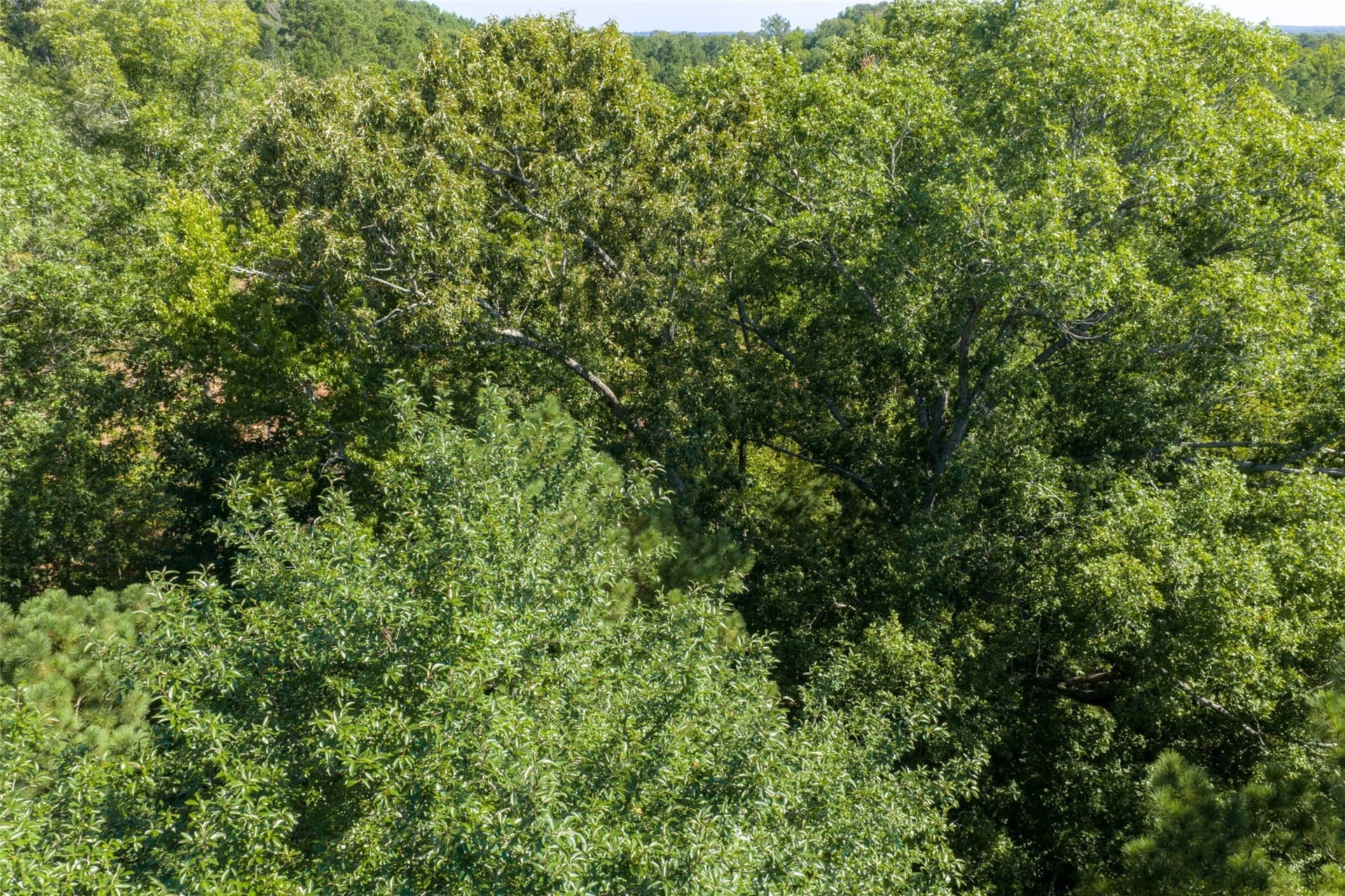 6.09 acres in Gregg County - photo 20