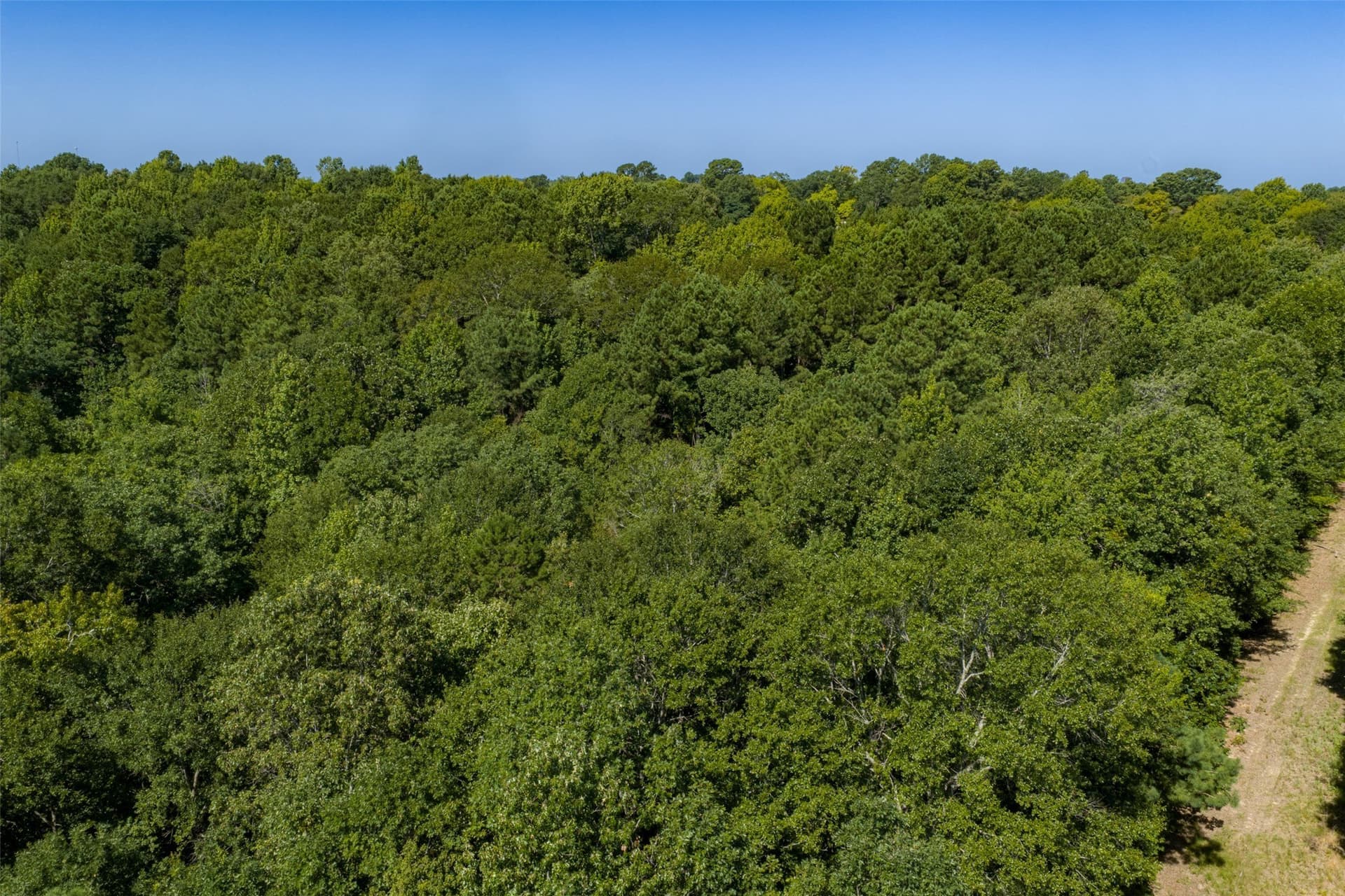 6.09 acres in Gregg County - photo 23
