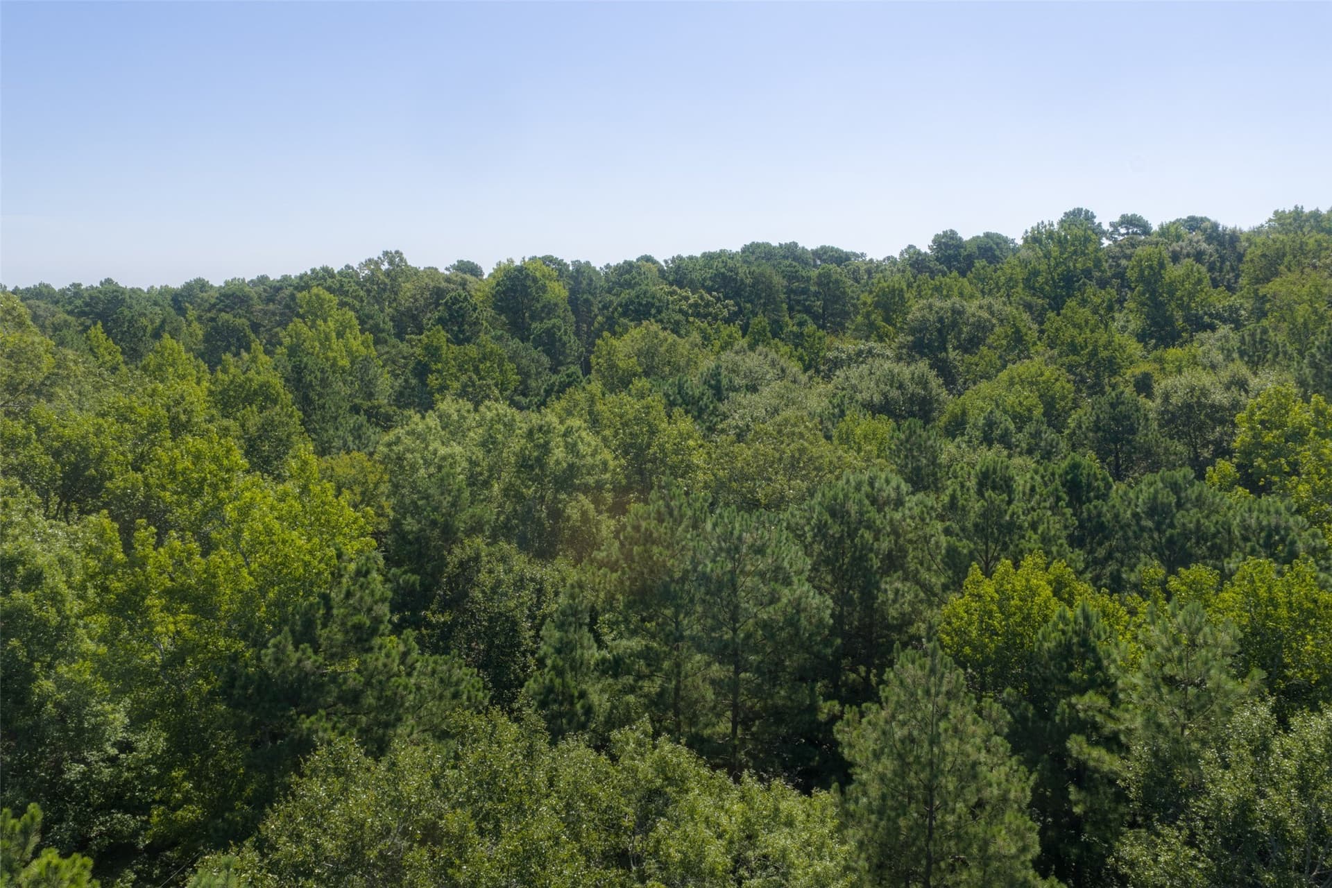6.09 acres in Gregg County - photo 12