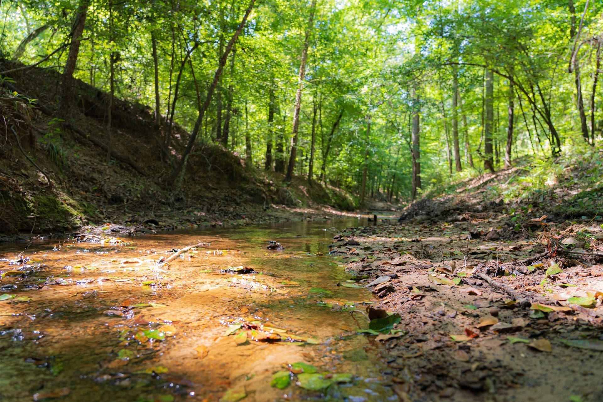 5.84 acres in Gregg County gallery image 3