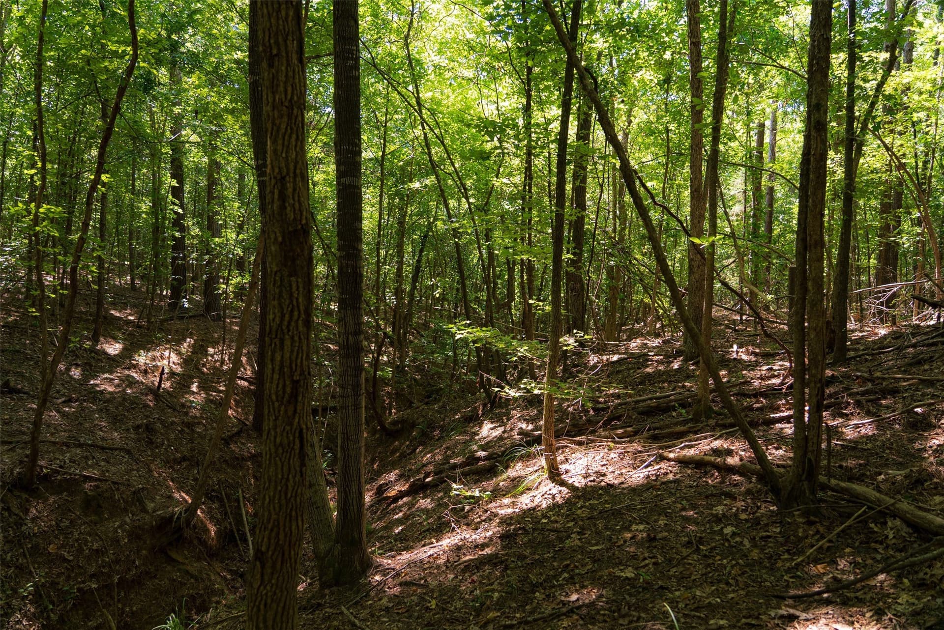 6.09 acres in Gregg County - photo 10