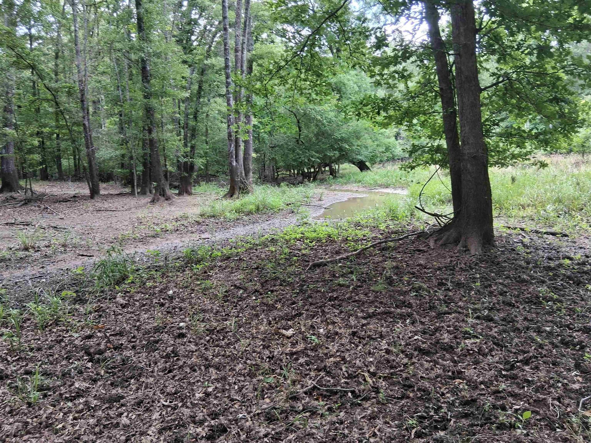 134.76 acres in Harrison County - photo 14