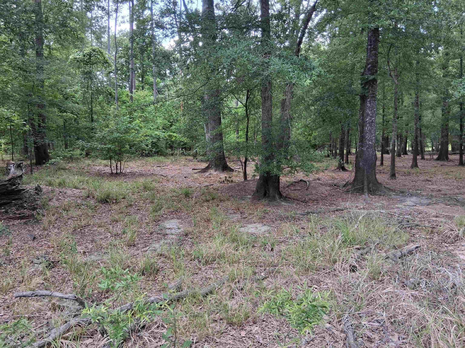 134.76 acres in Harrison County - photo 10