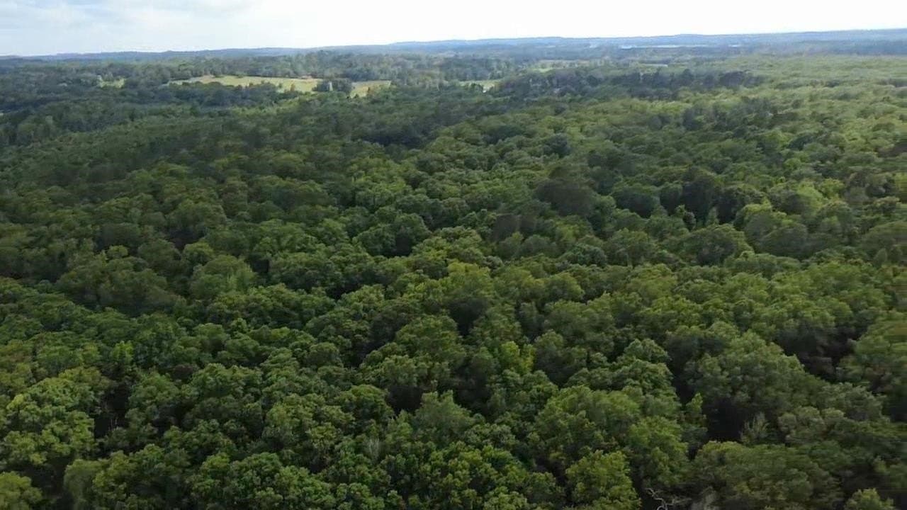 134.76 acres in Harrison County - photo 31