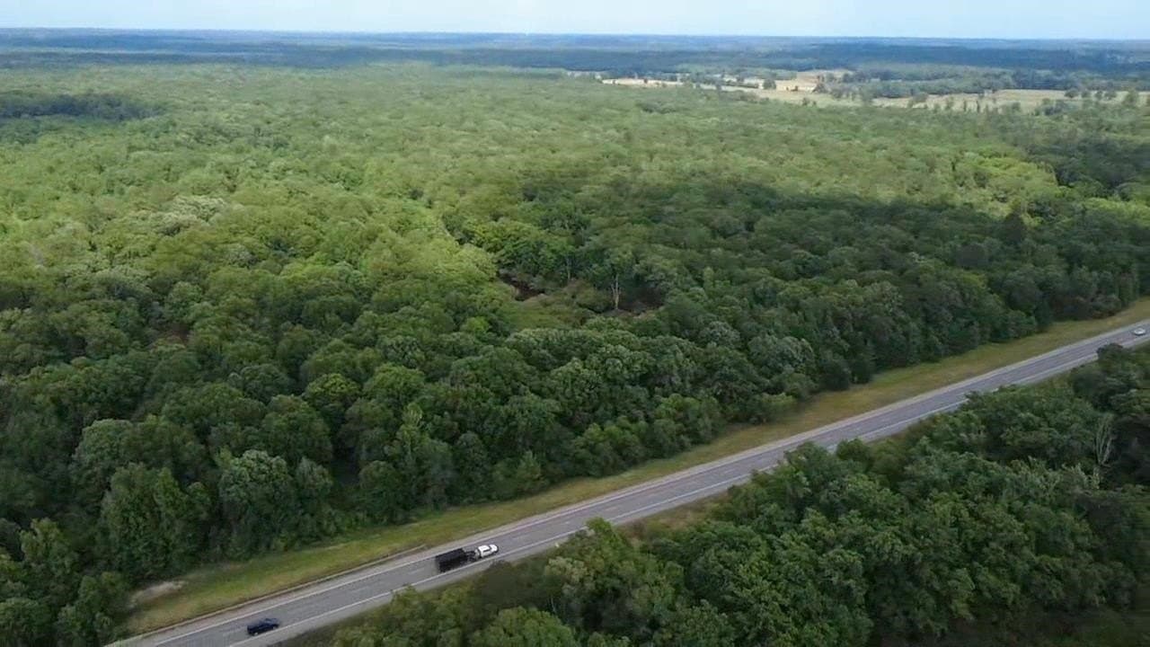 134.76 acres in Harrison County - photo 28