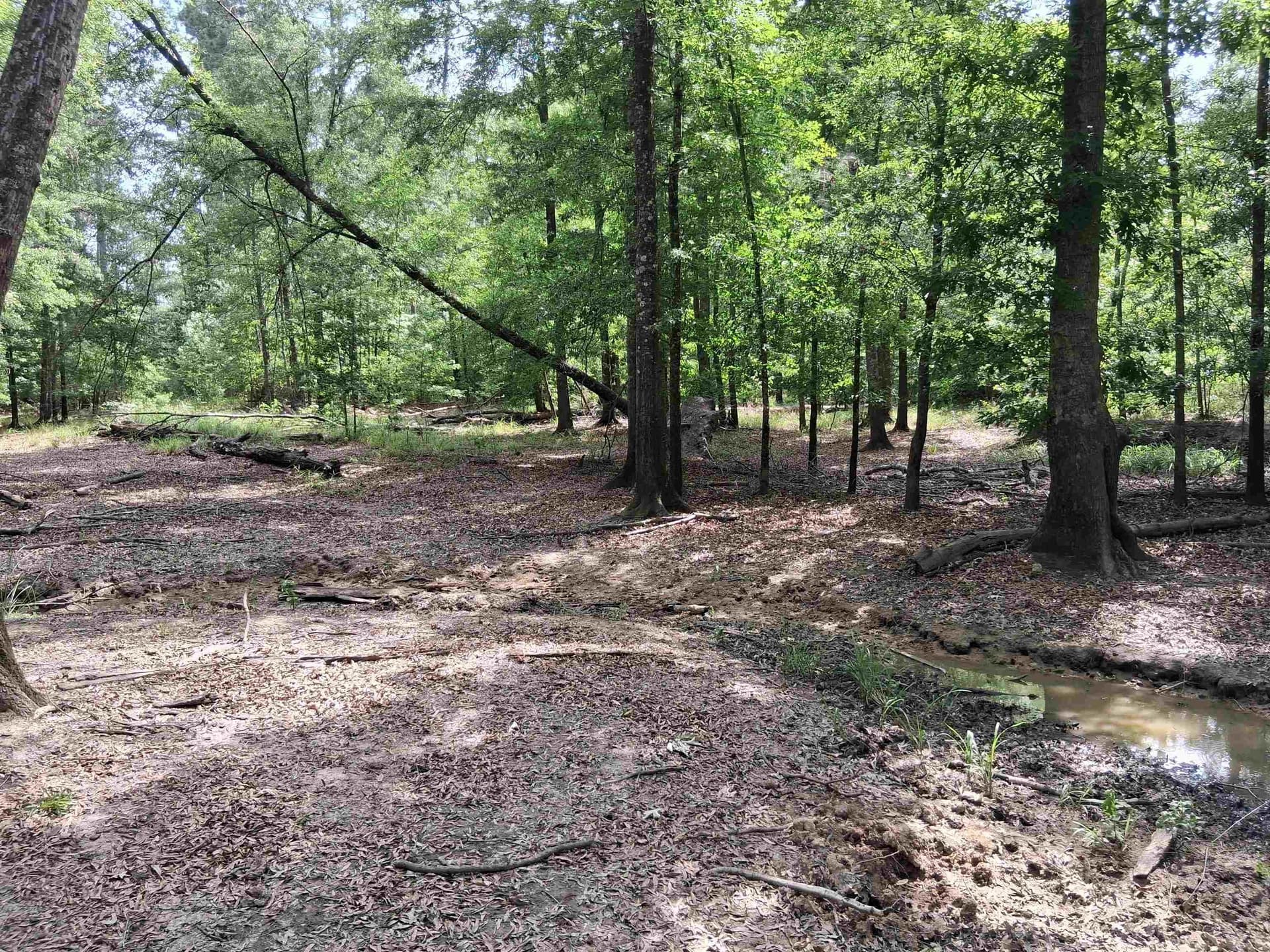 134.76 acres in Harrison County - photo 22