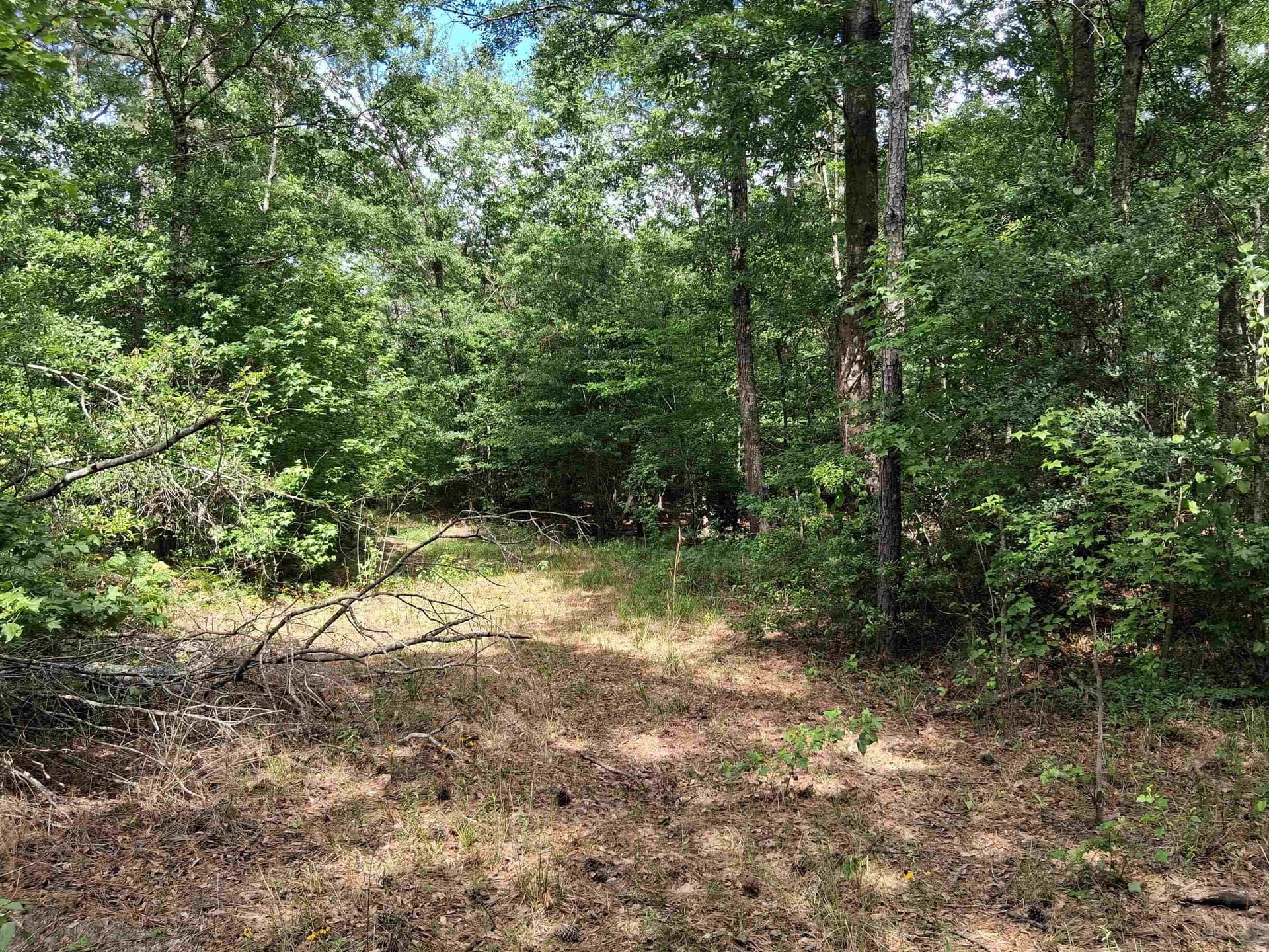 134.76 acres in Harrison County - photo 8