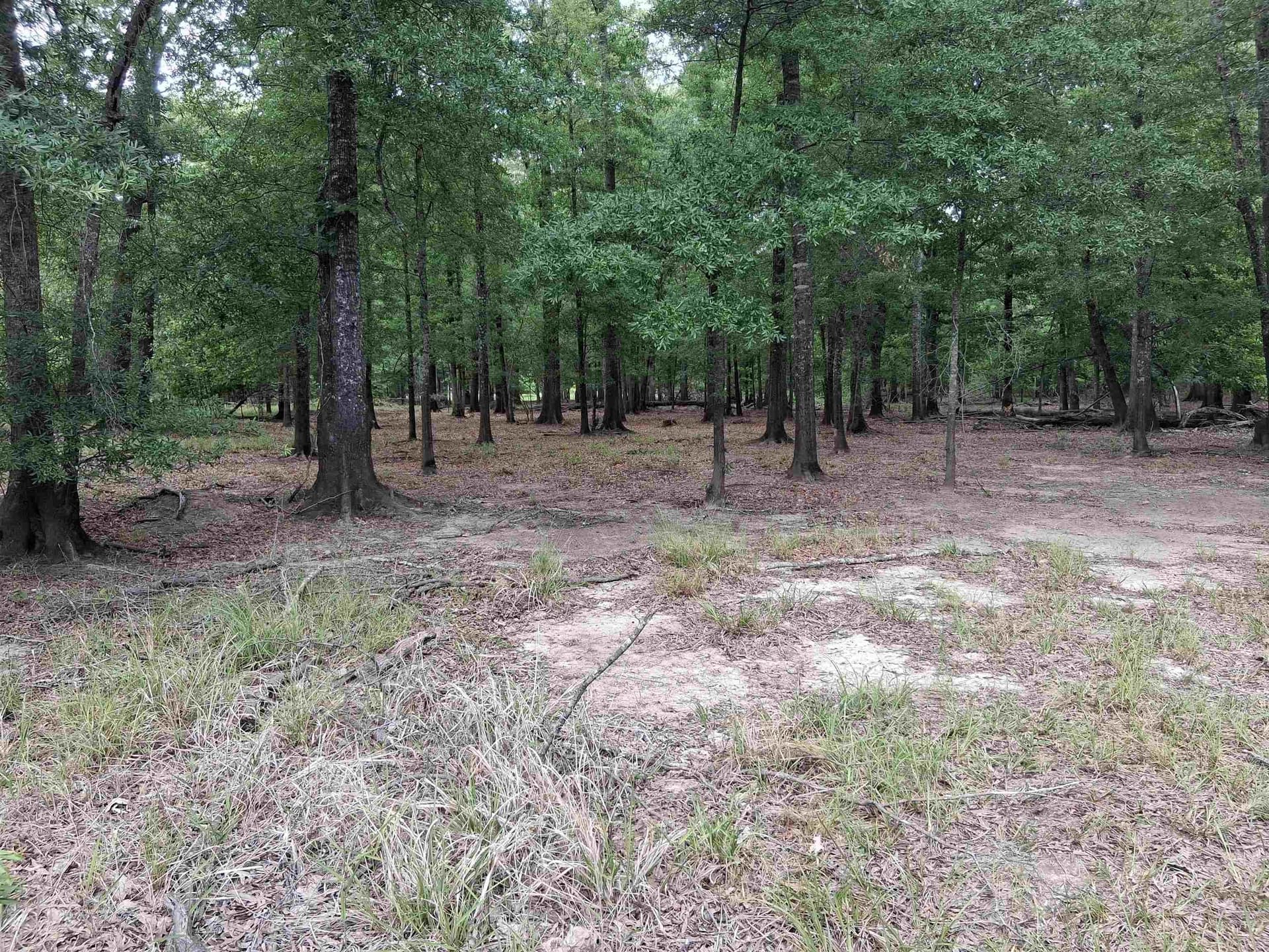 134.76 acres in Harrison County - photo 11