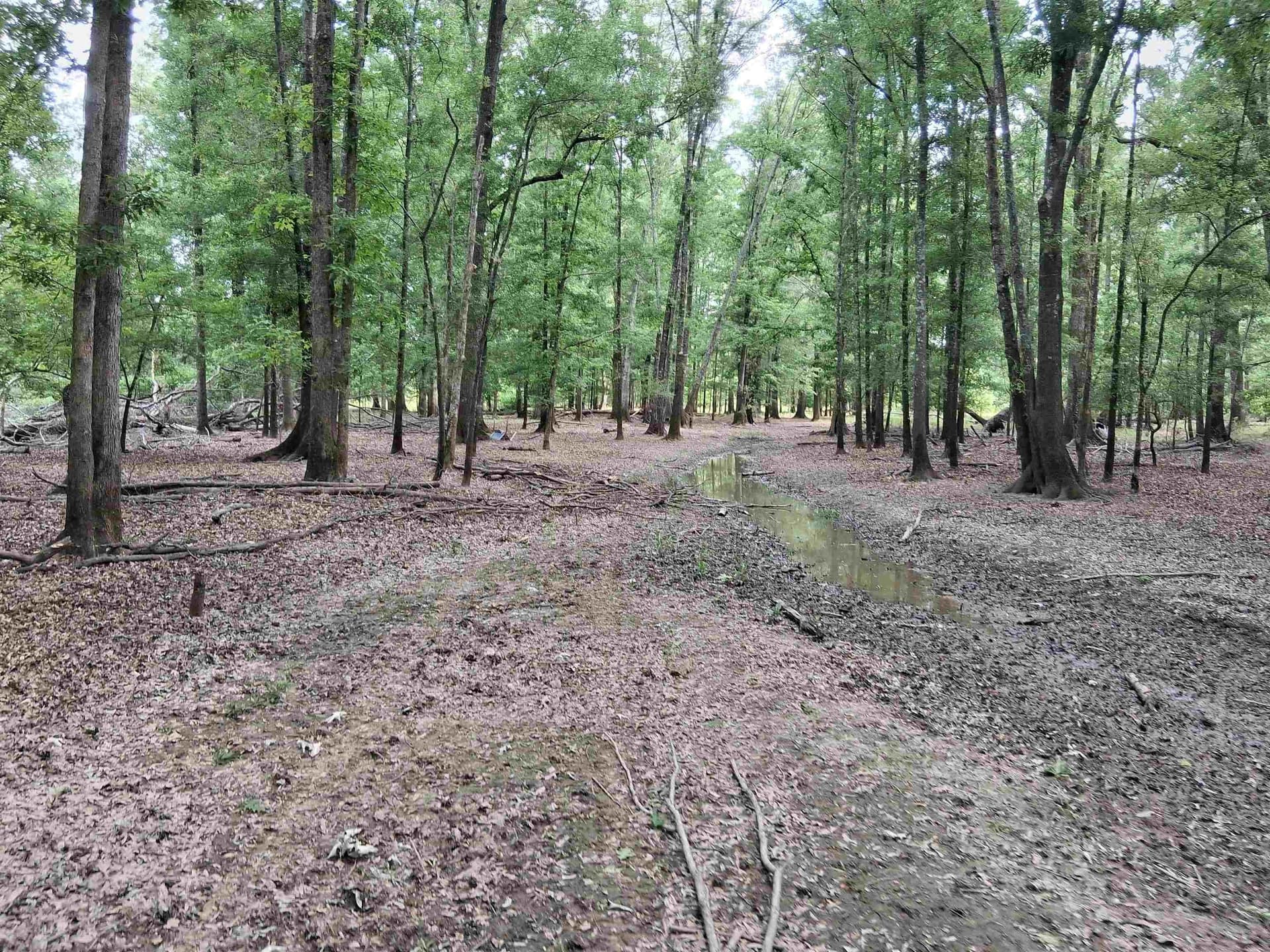 134.76 acres in Harrison County - photo 17