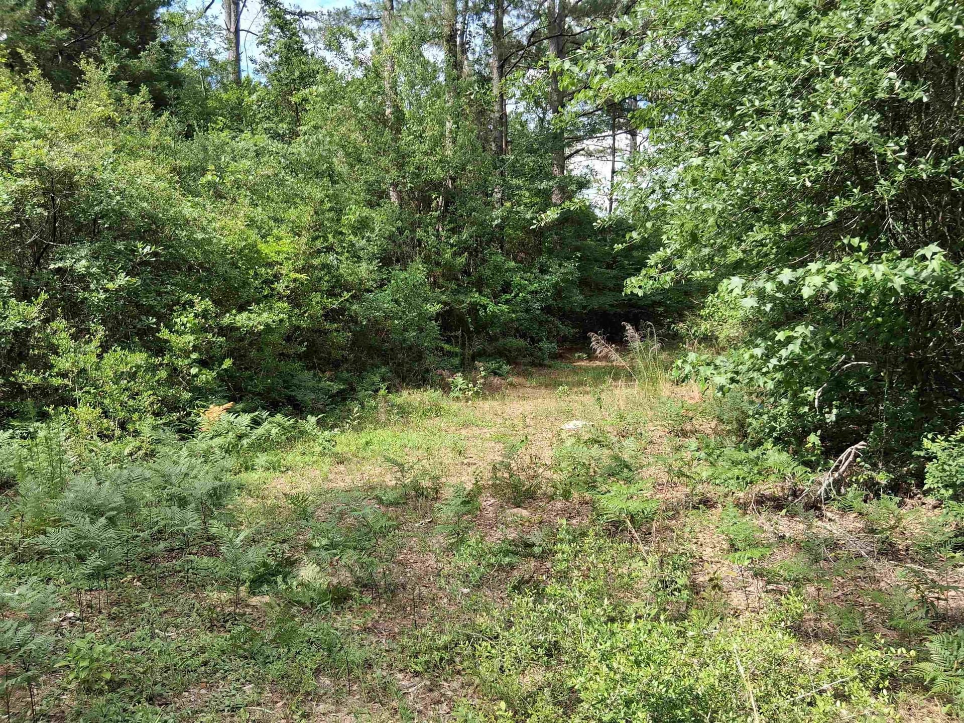 134.76 acres in Harrison County featured view