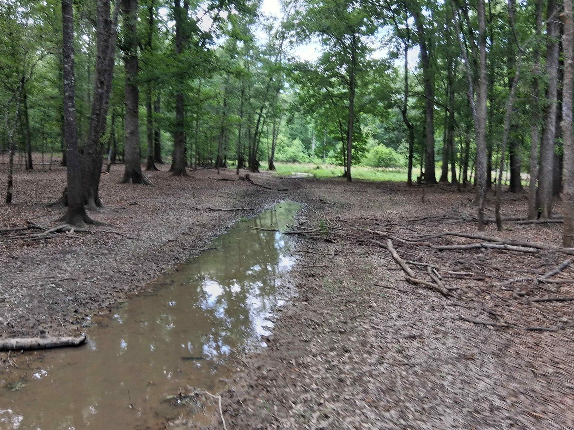 134.76 acres in Harrison County - photo 13