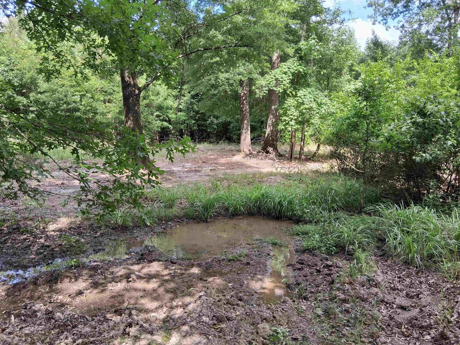 134.76 acres in Harrison County - photo 24