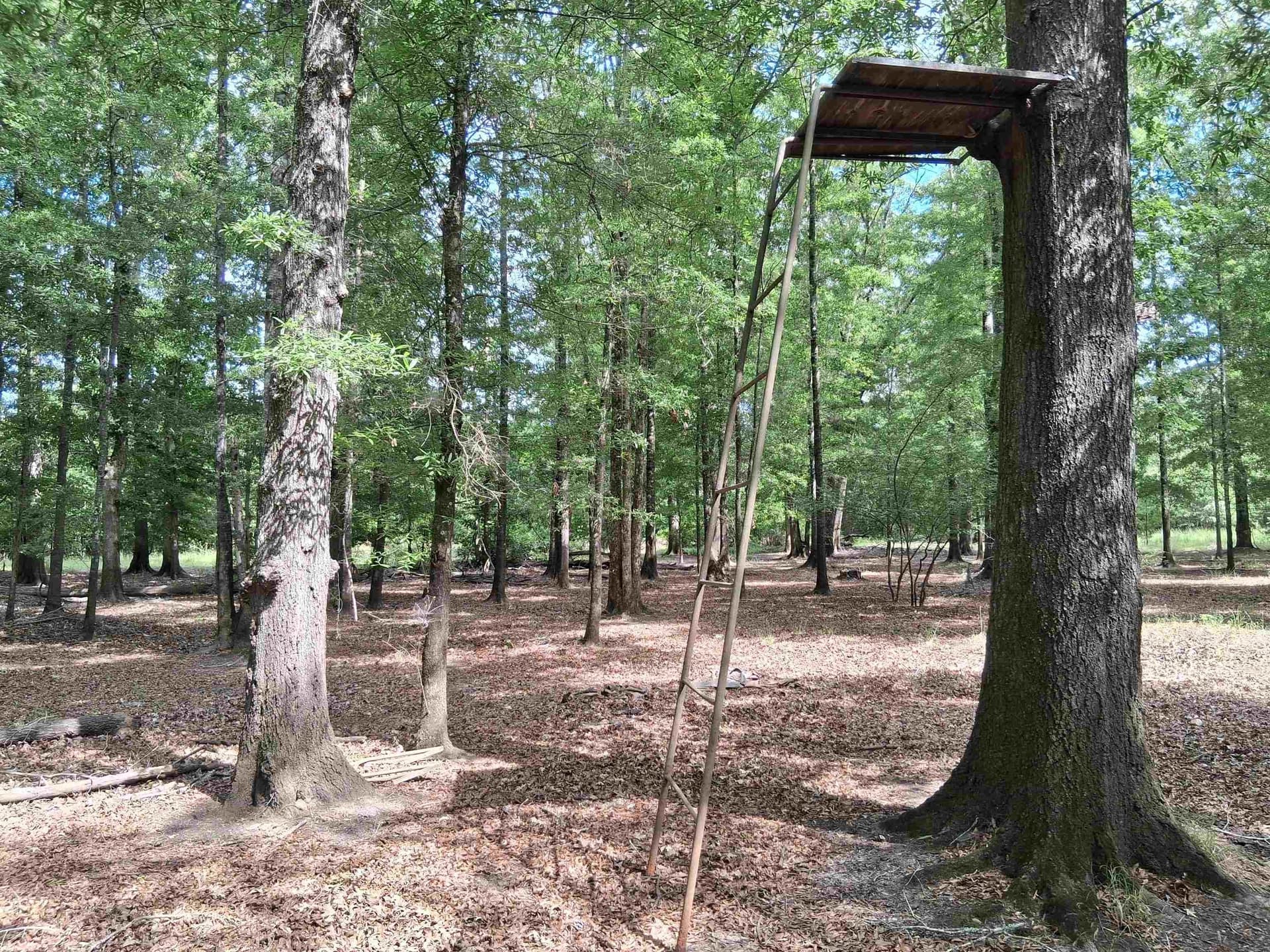 134.76 acres in Harrison County - photo 23