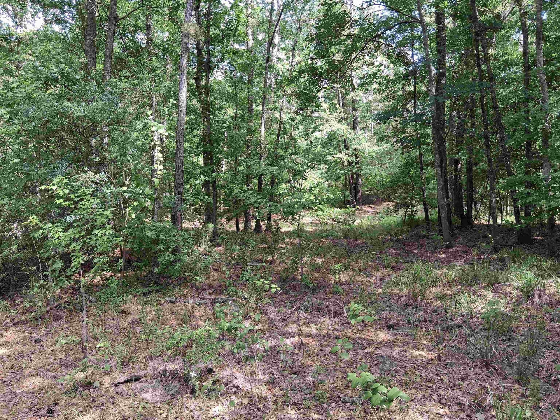 134.76 acres in Harrison County - photo 7