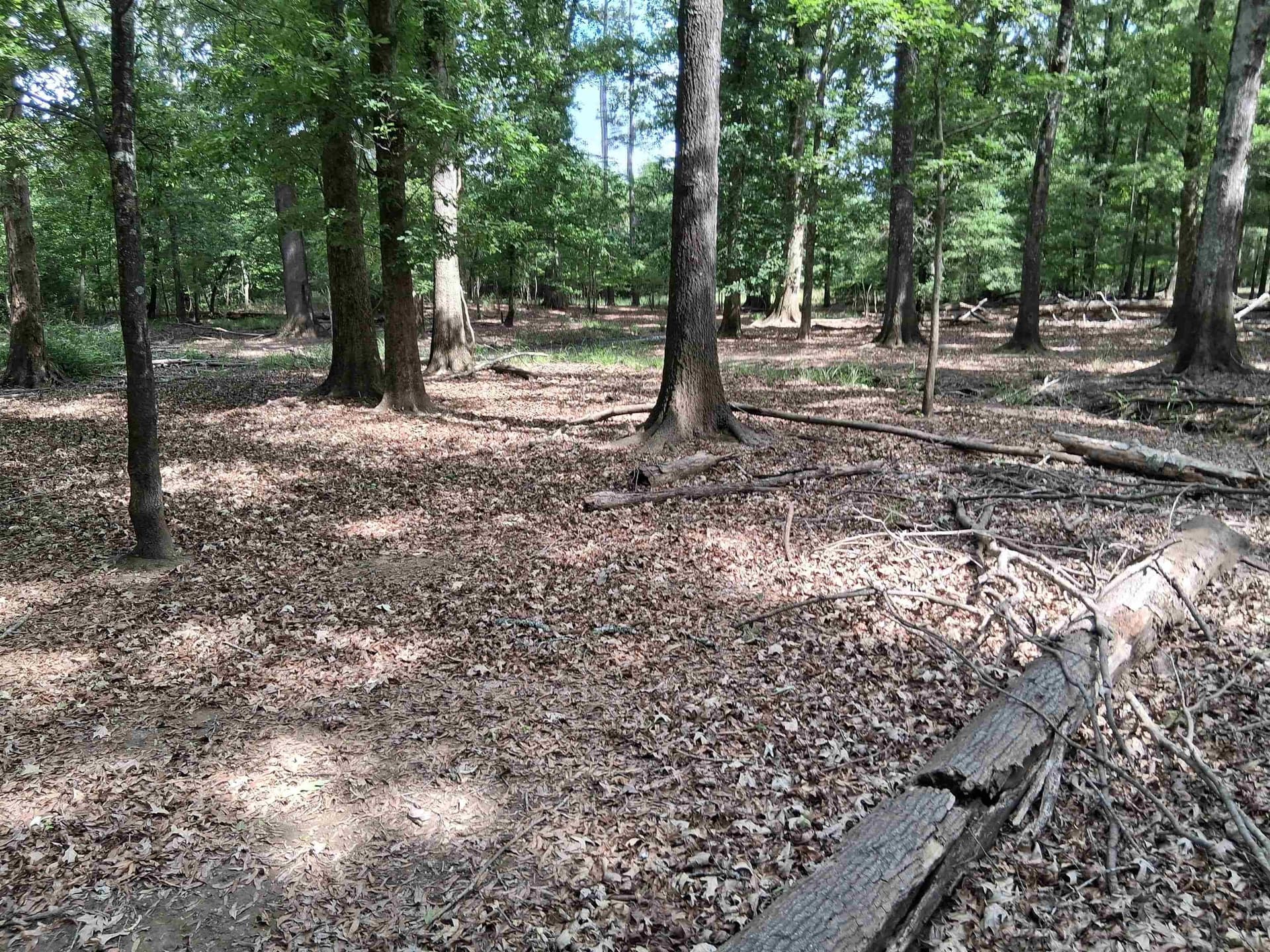134.76 acres in Harrison County - photo 20
