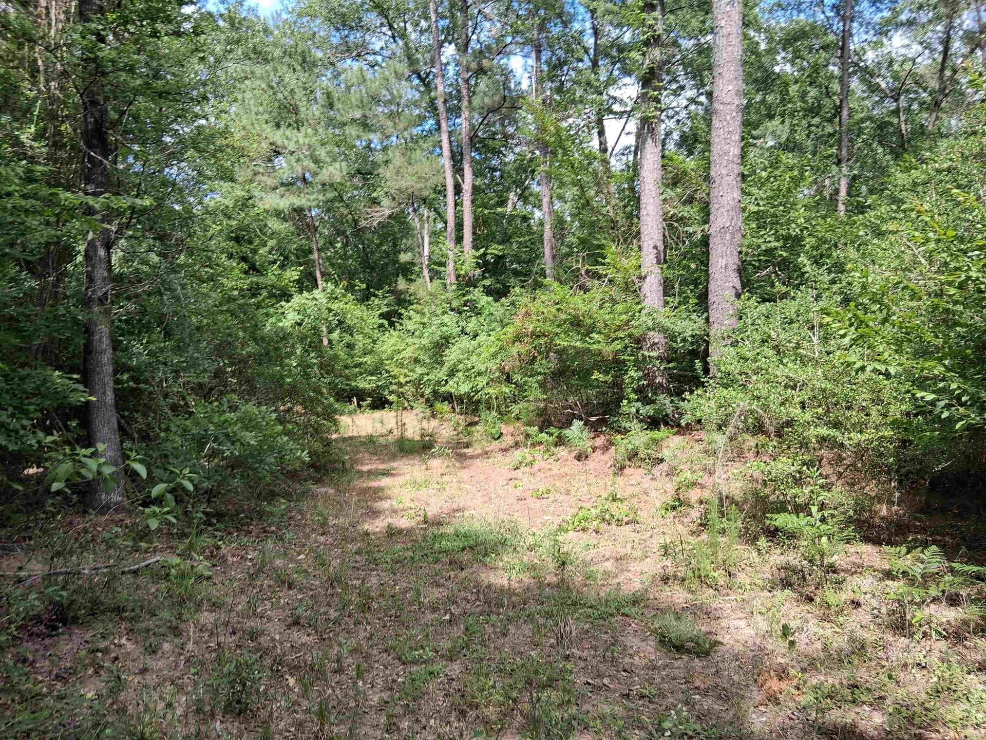 134.76 acres in Harrison County gallery image 4