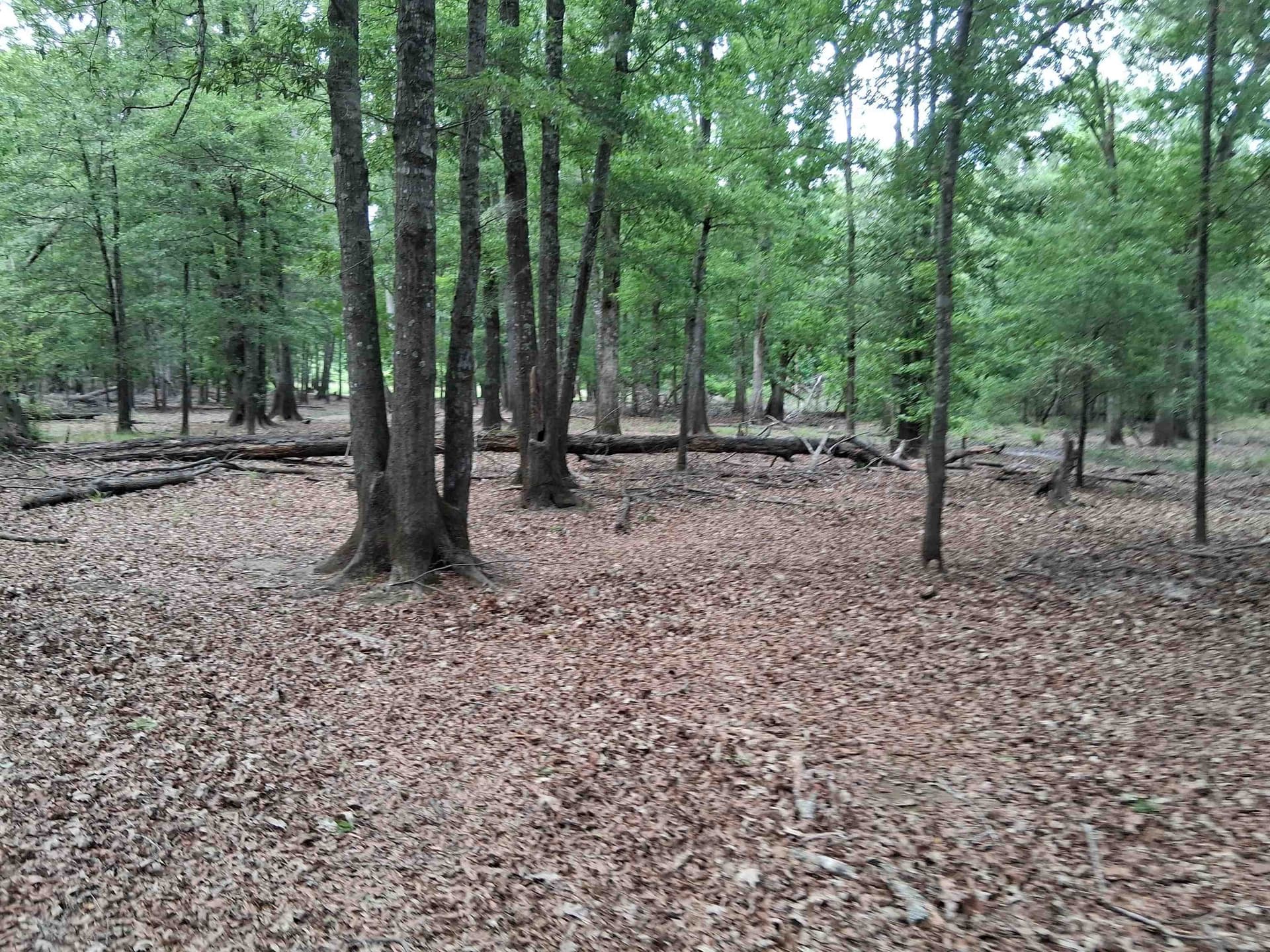 134.76 acres in Harrison County - photo 12