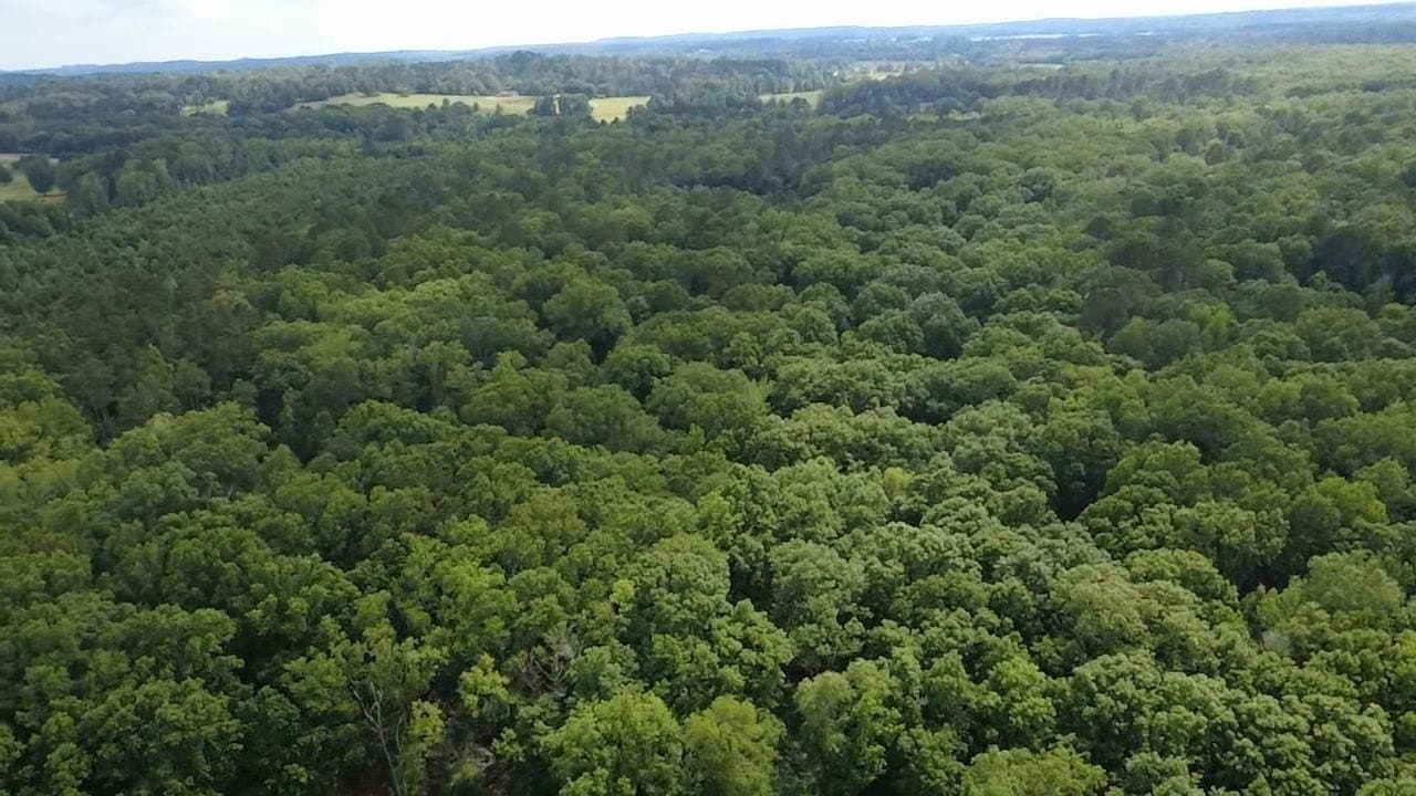 134.76 acres in Harrison County - photo 30