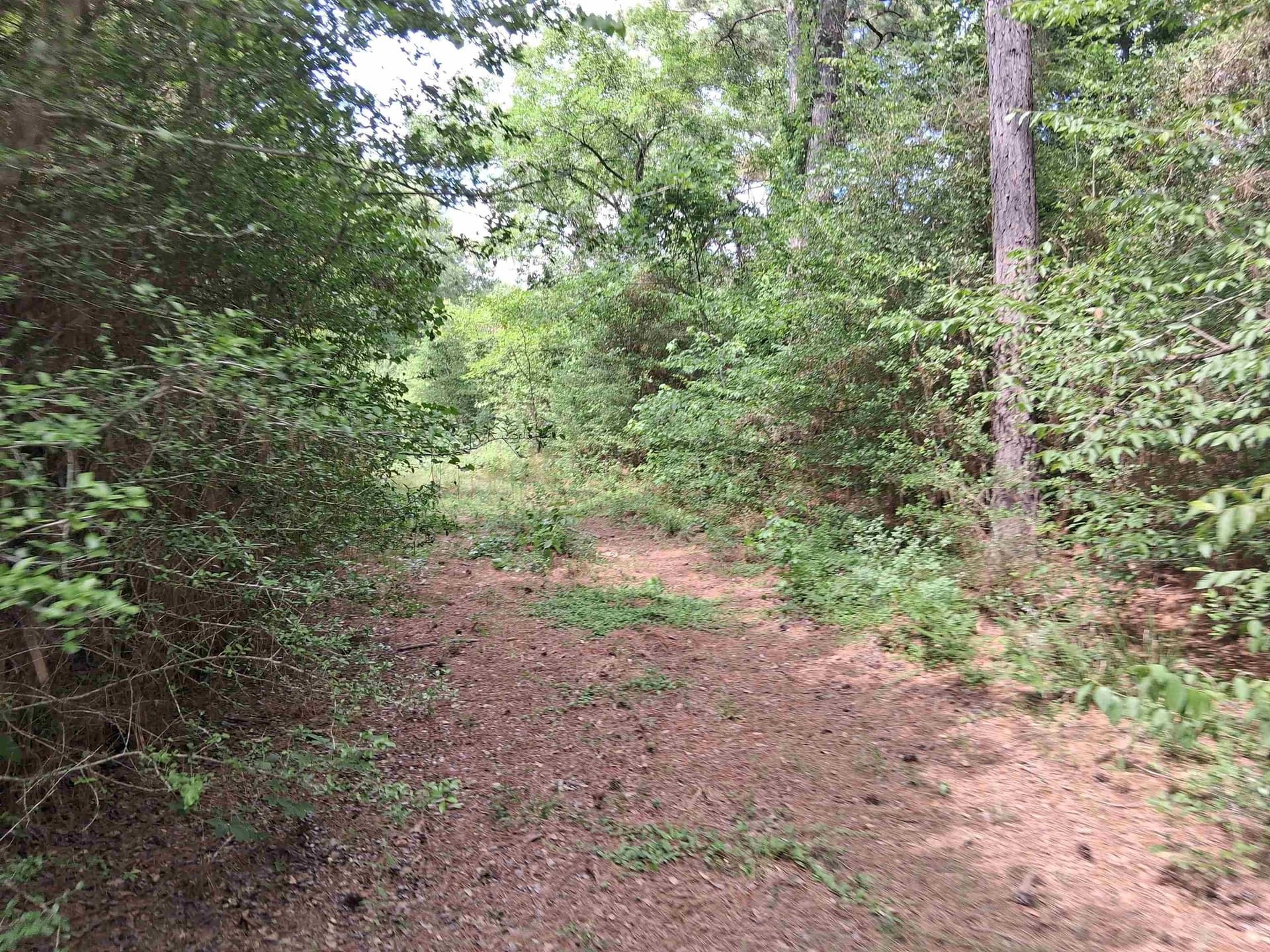 134.76 acres in Harrison County - photo 6