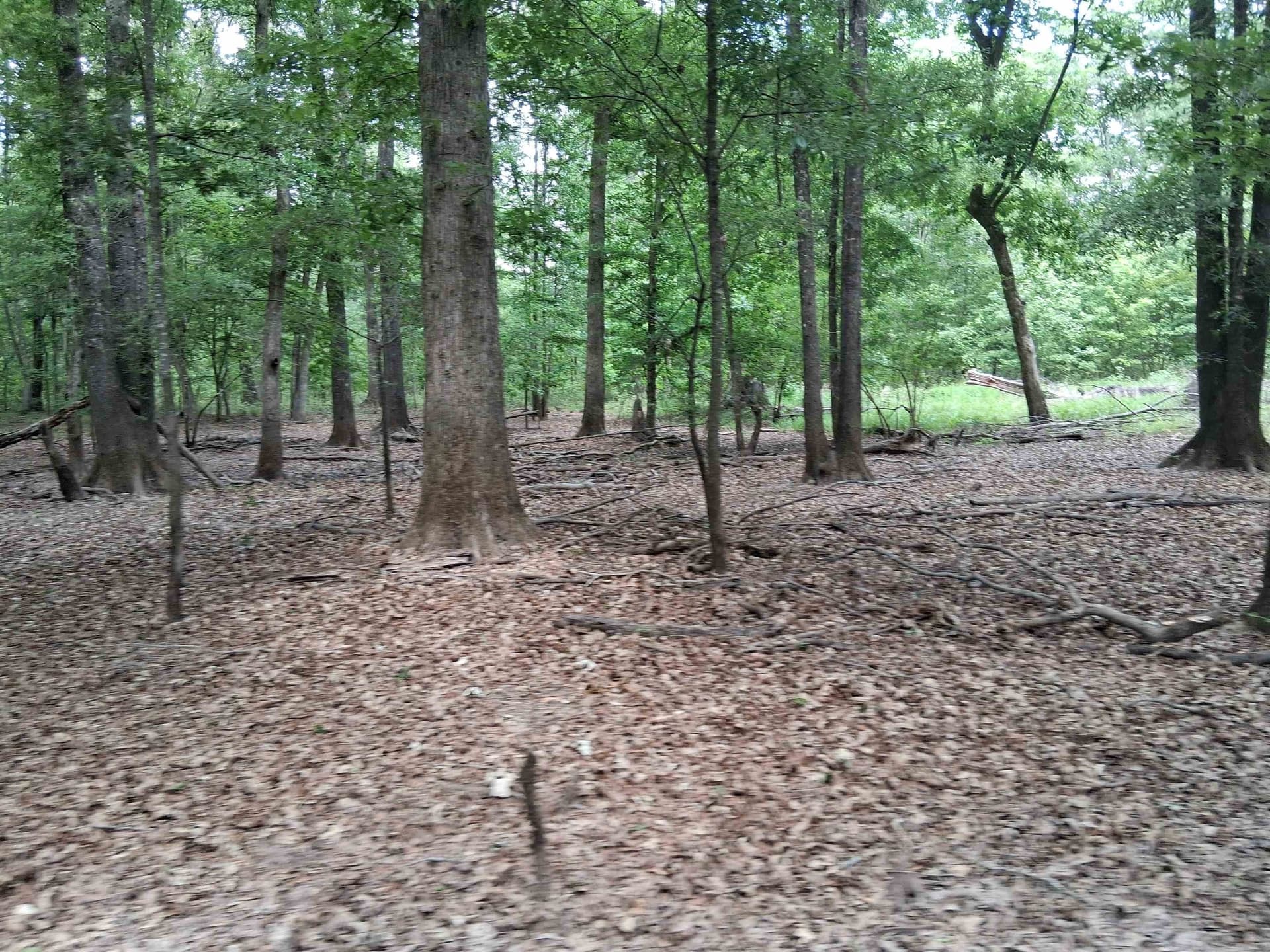 134.76 acres in Harrison County - photo 18