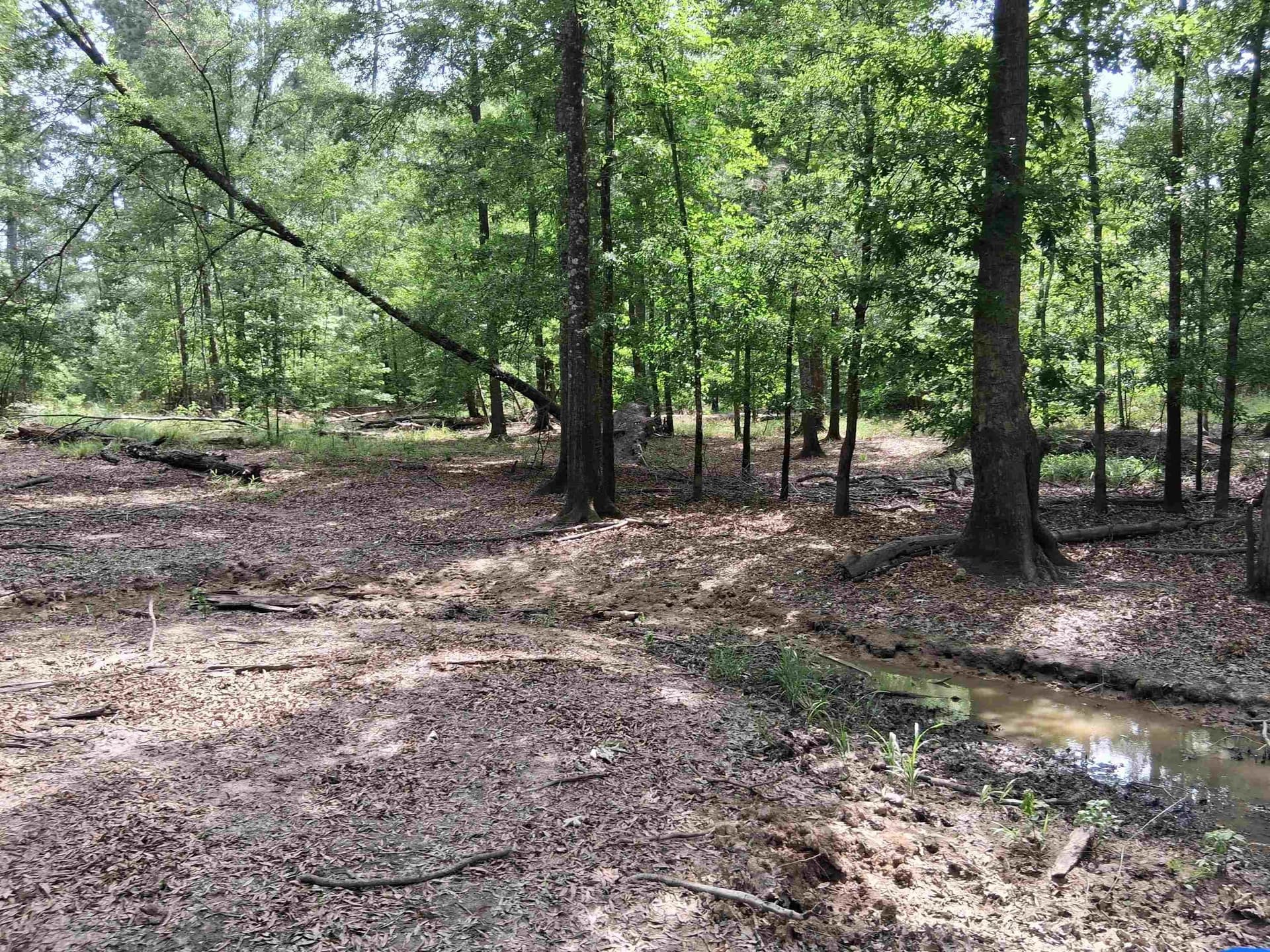 134.76 acres in Harrison County - photo 21