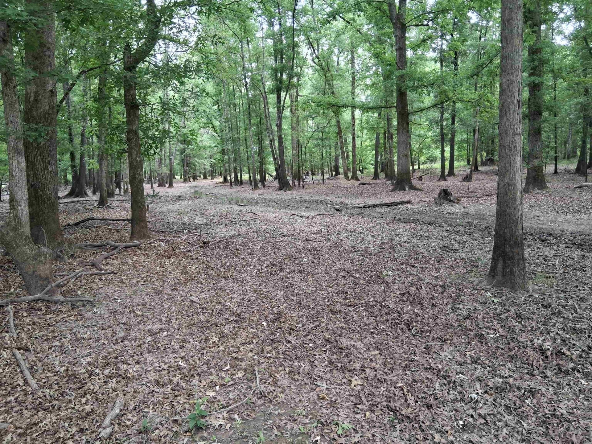 134.76 acres in Harrison County - photo 16
