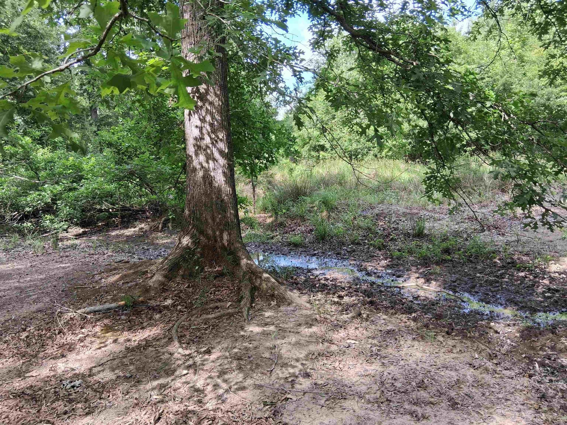 134.76 acres in Harrison County - photo 25