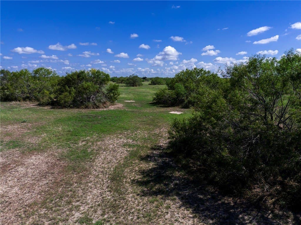 51.5 acres in Jim Wells County - photo 29
