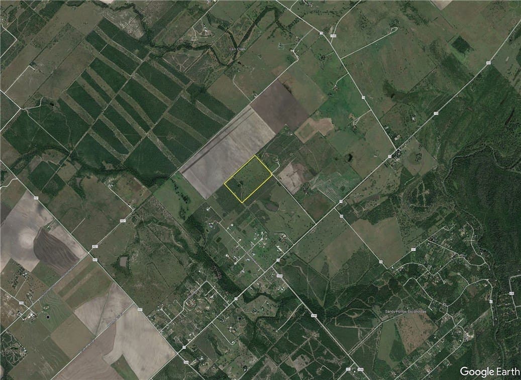 51.5 acres in Jim Wells County gallery image 4