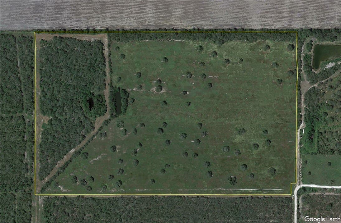 51.5 acres in Jim Wells County gallery image 2