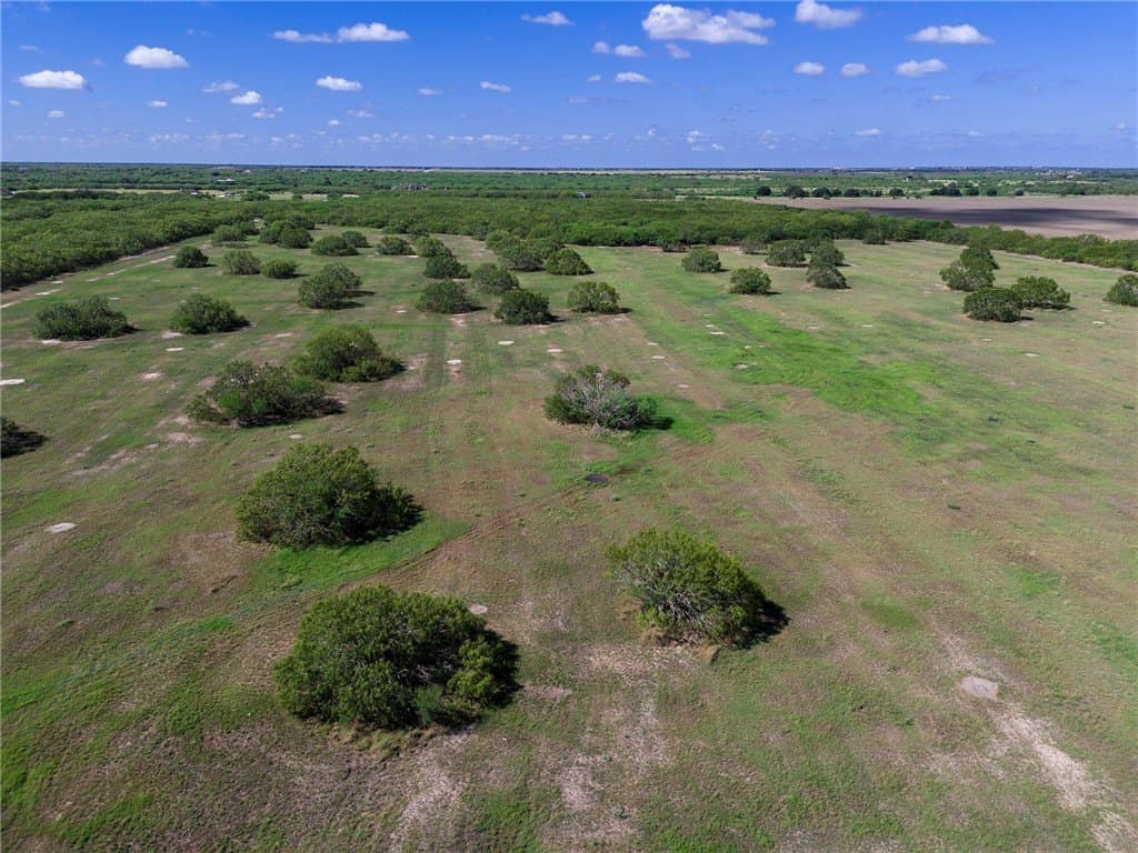 51.5 acres in Jim Wells County - photo 17