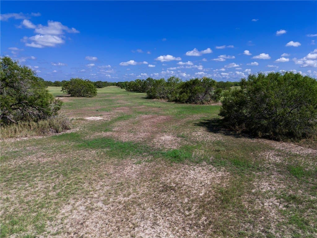 51.5 acres in Jim Wells County - photo 28