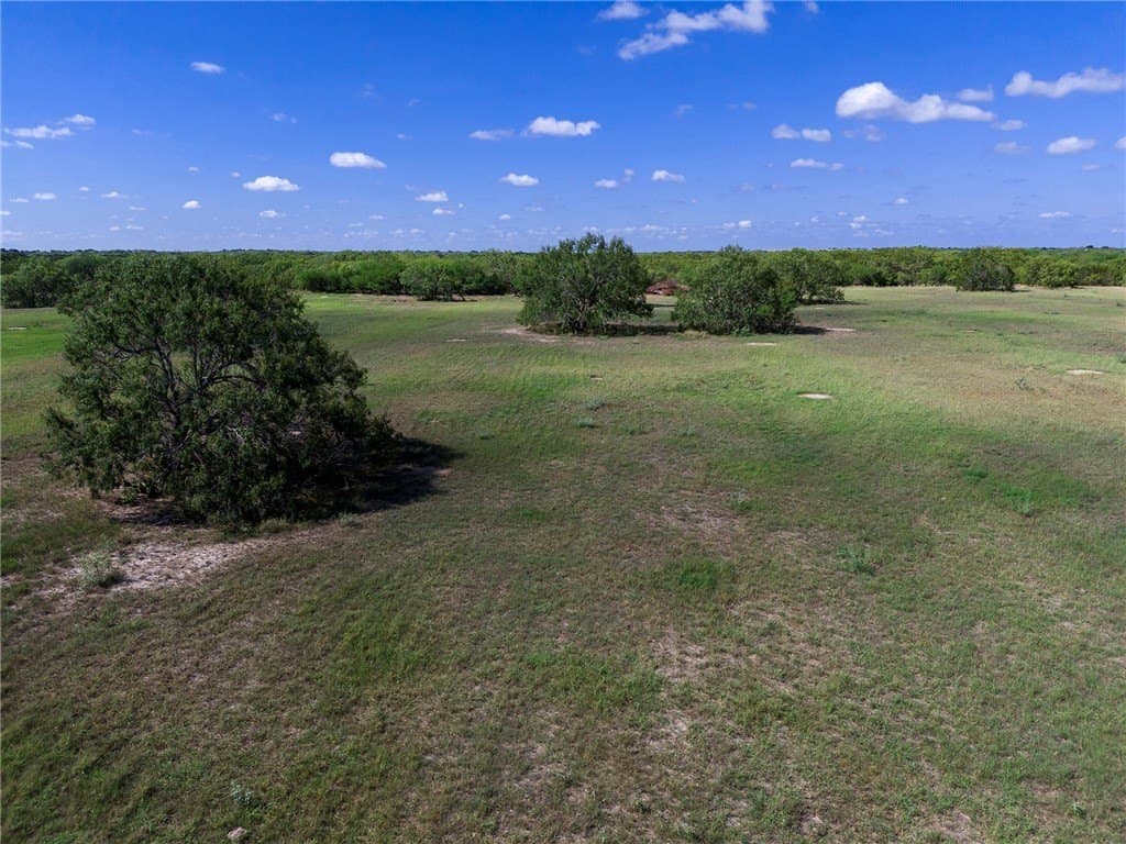 51.5 acres in Jim Wells County - photo 19