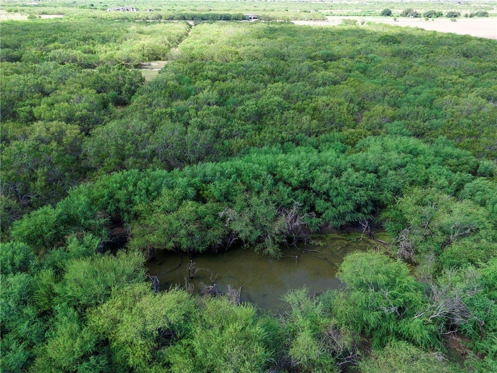 51.5 acres in Jim Wells County - photo 21