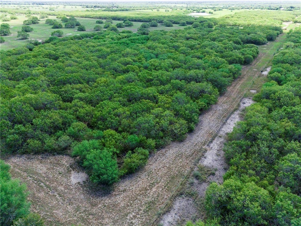 51.5 acres in Jim Wells County - photo 23