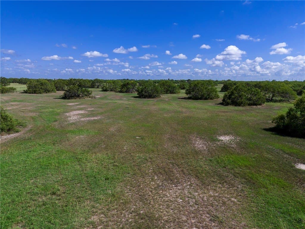 51.5 acres in Jim Wells County - photo 27