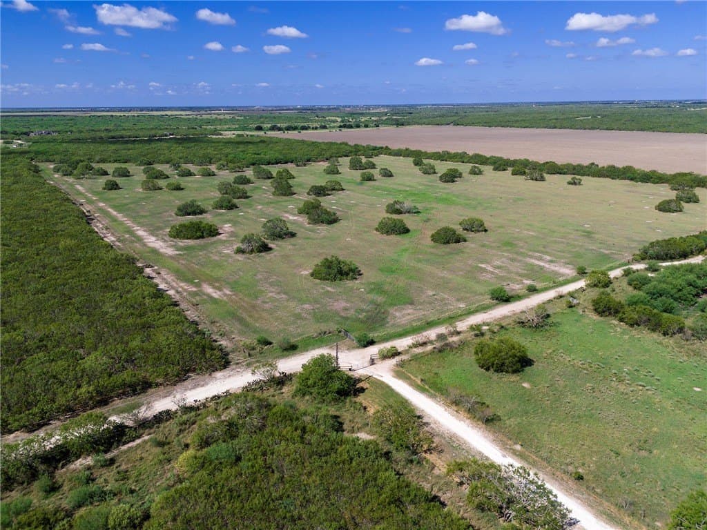 51.5 acres in Jim Wells County - photo 14