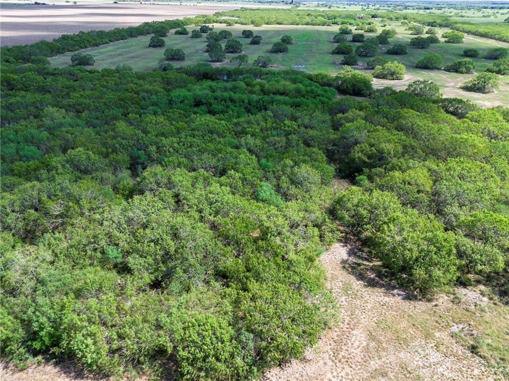 51.5 acres in Jim Wells County - photo 24