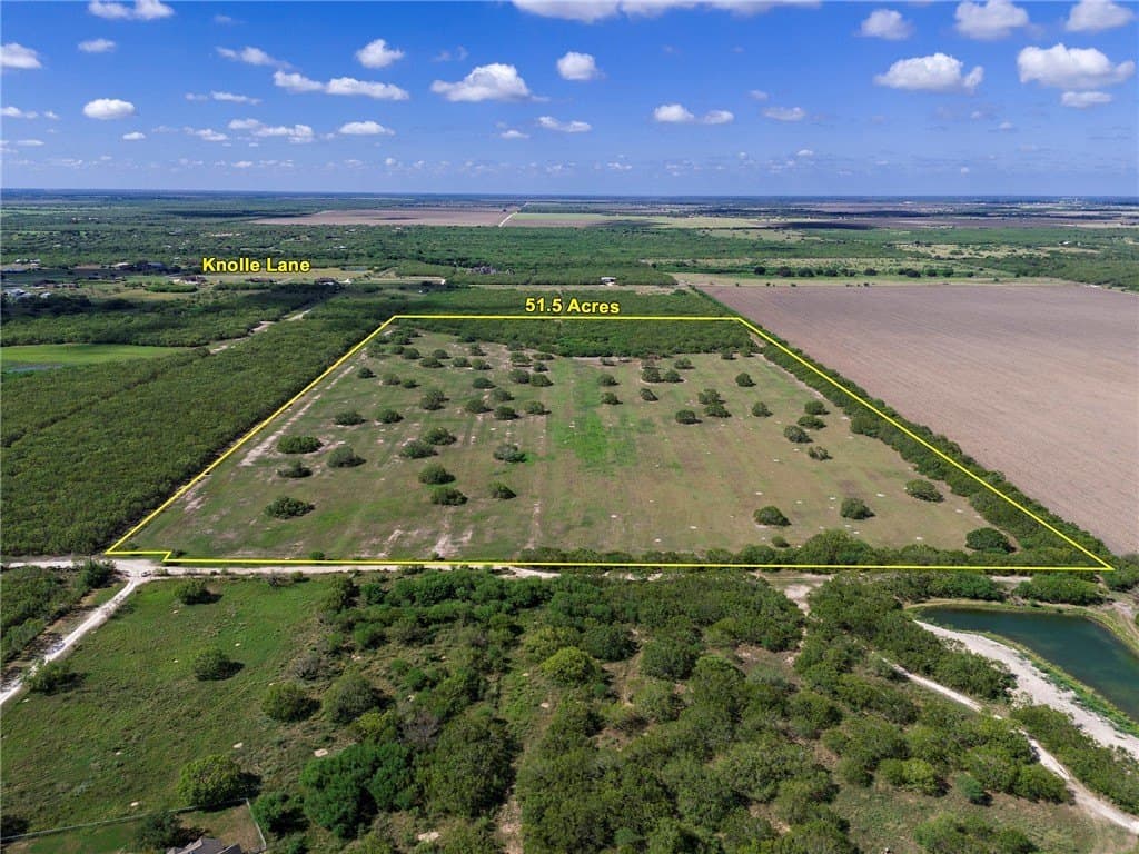 51.5 acres in Jim Wells County - photo 6