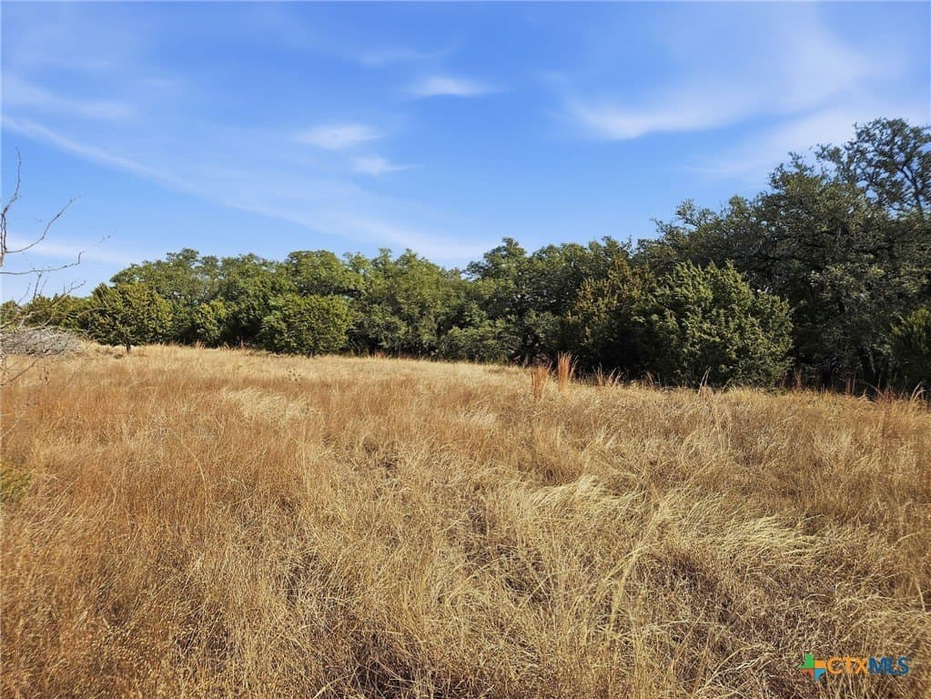 102.74 acres in Coryell County - photo 26